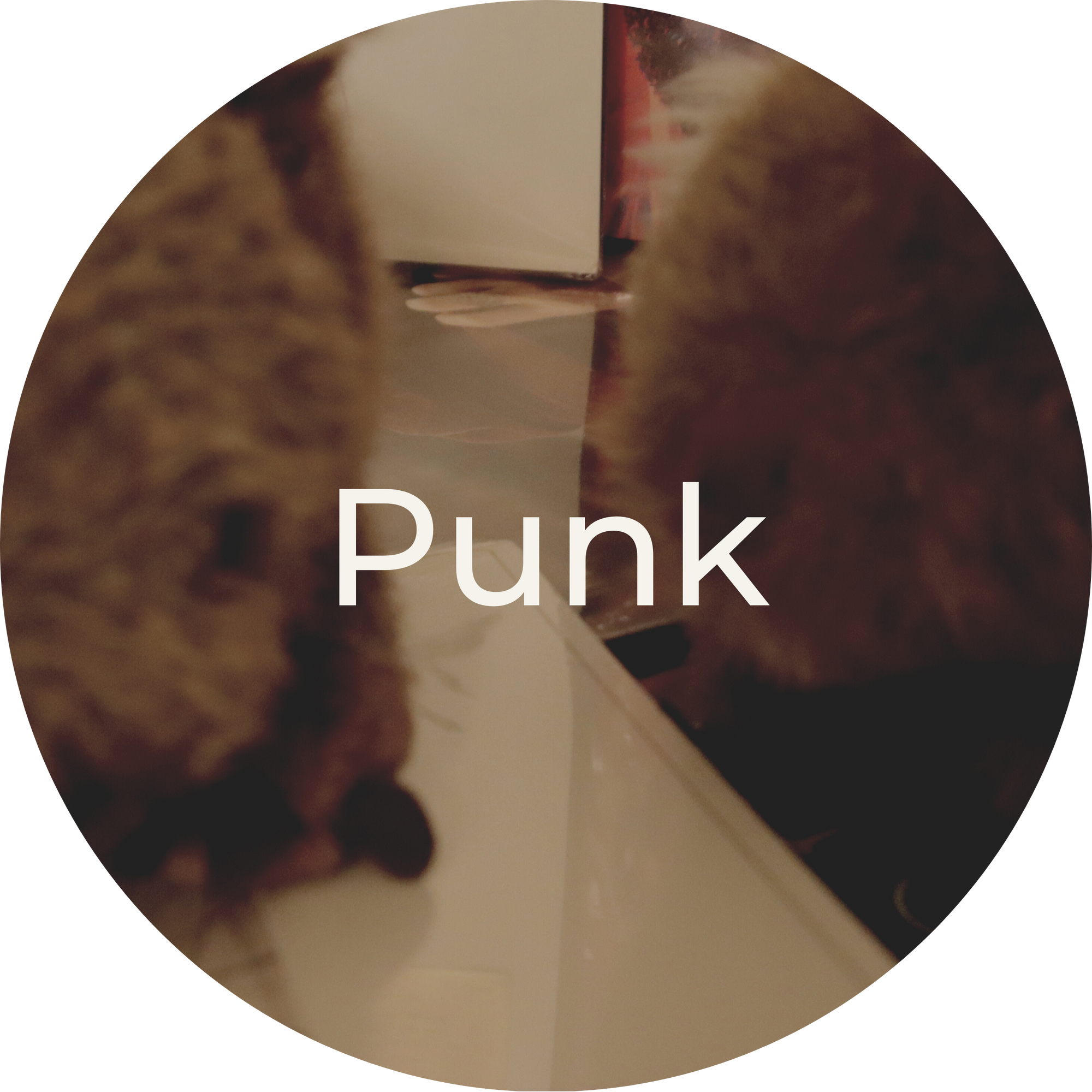 Punk Music