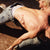 Cub Sport – Jesus At The Gay Bar