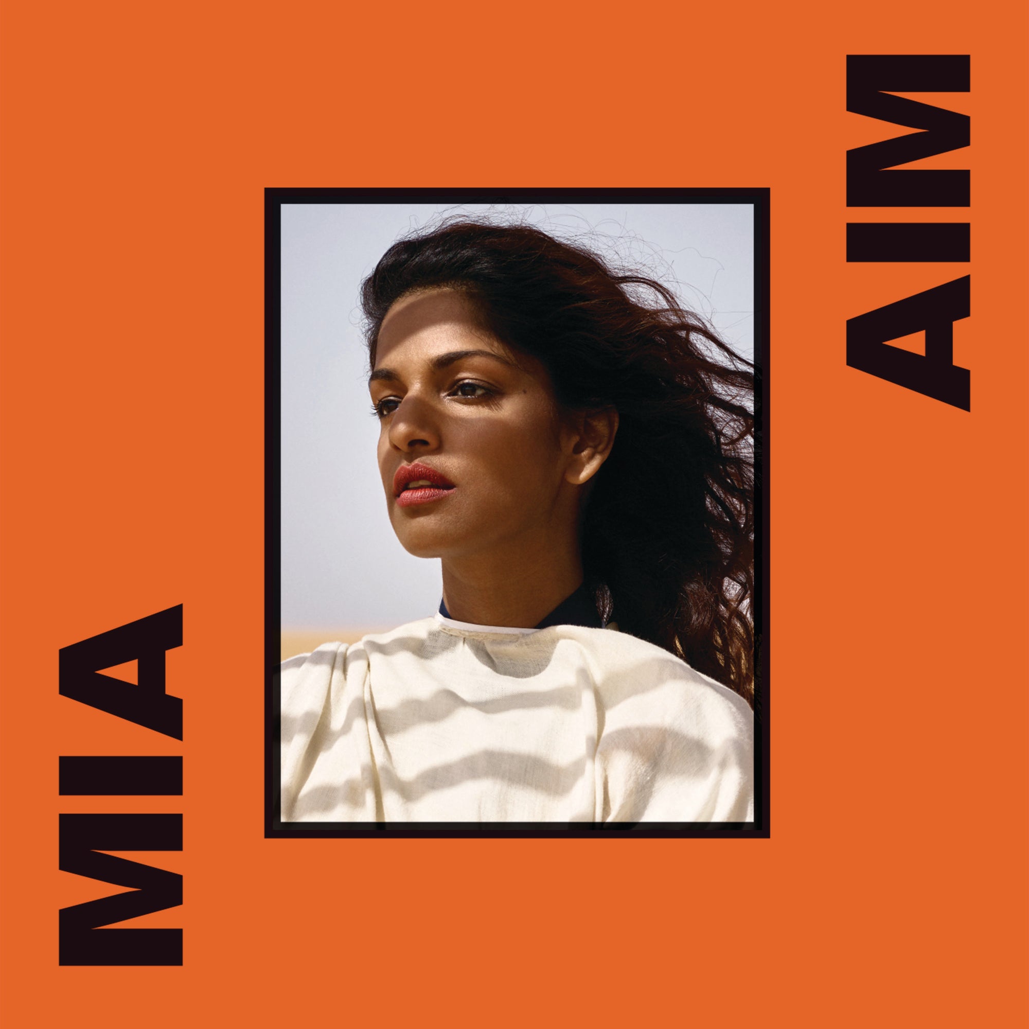 M.I.A. – AIM