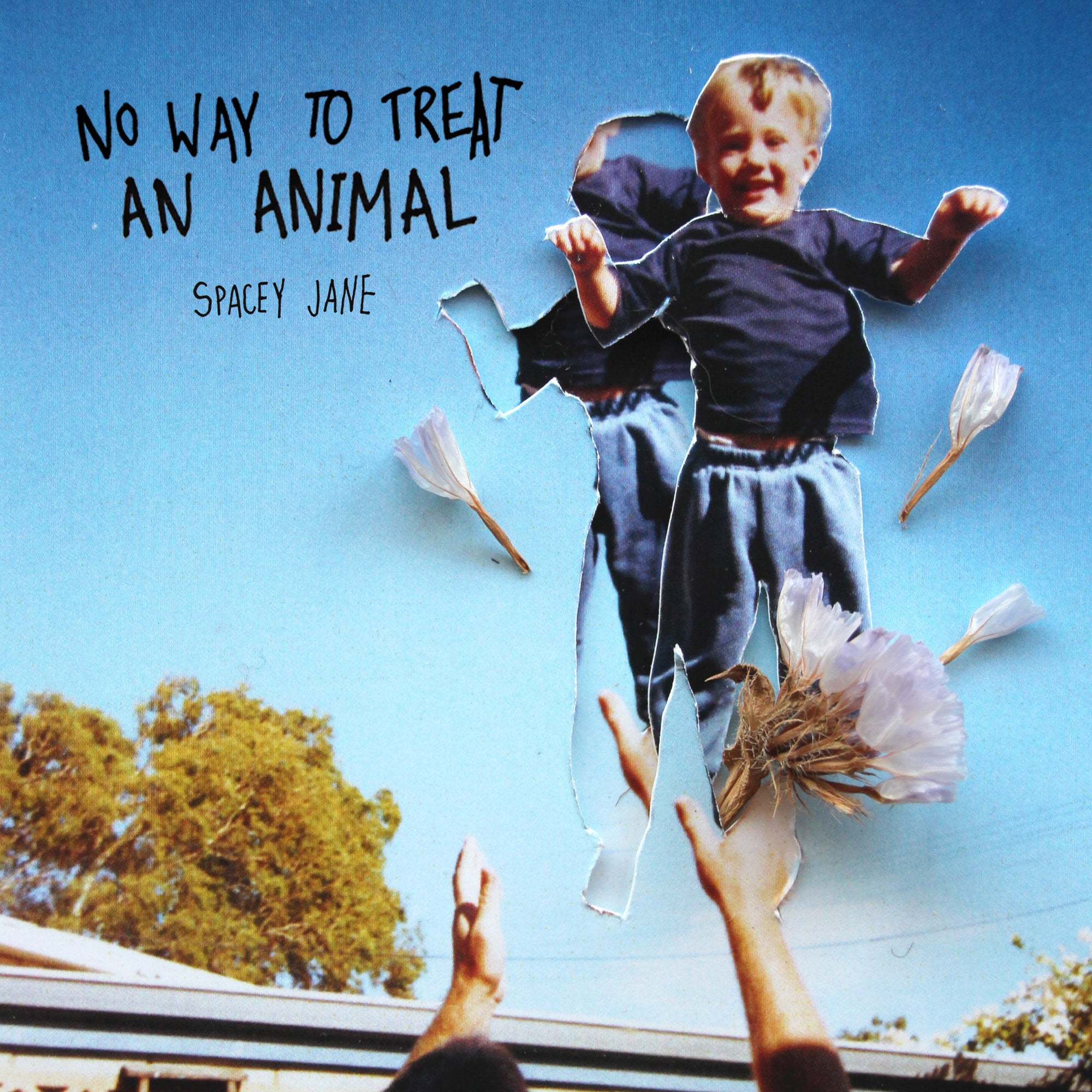 Spacey Jane – No Way To Treat An Animal