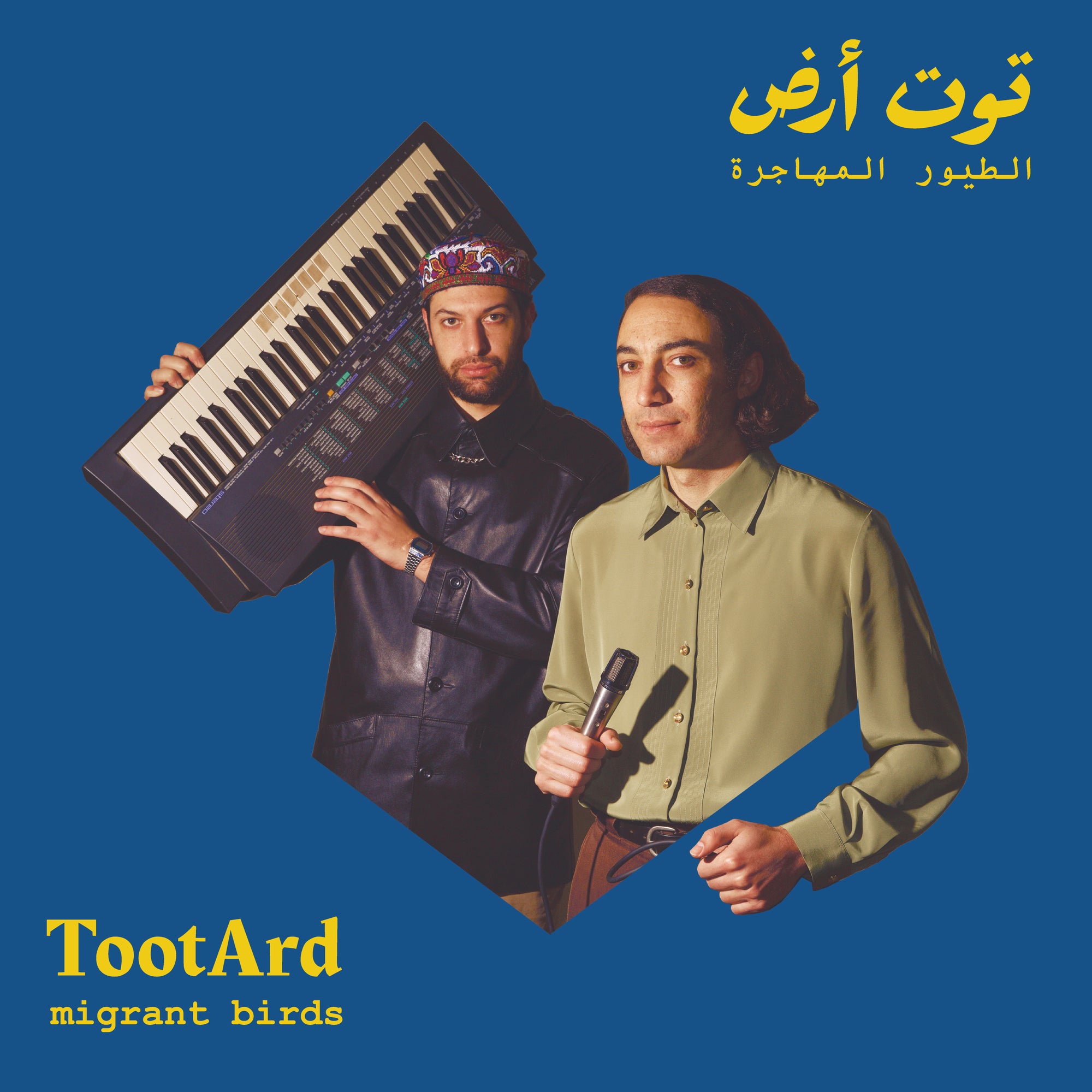 TootArd – Migrant Birds